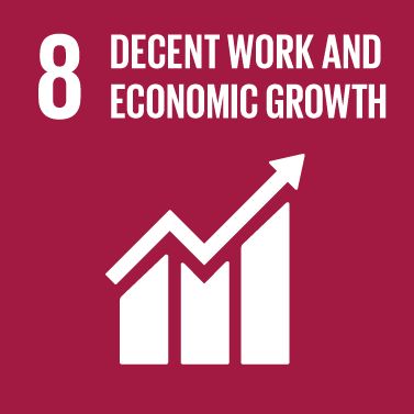 SDG 8